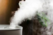 每個(gè)人都應(yīng)該使用加濕器的10個(gè)理由