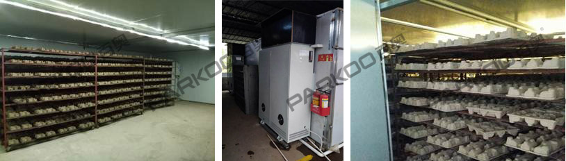 1511502784289380.jpg 圖片1.jpg